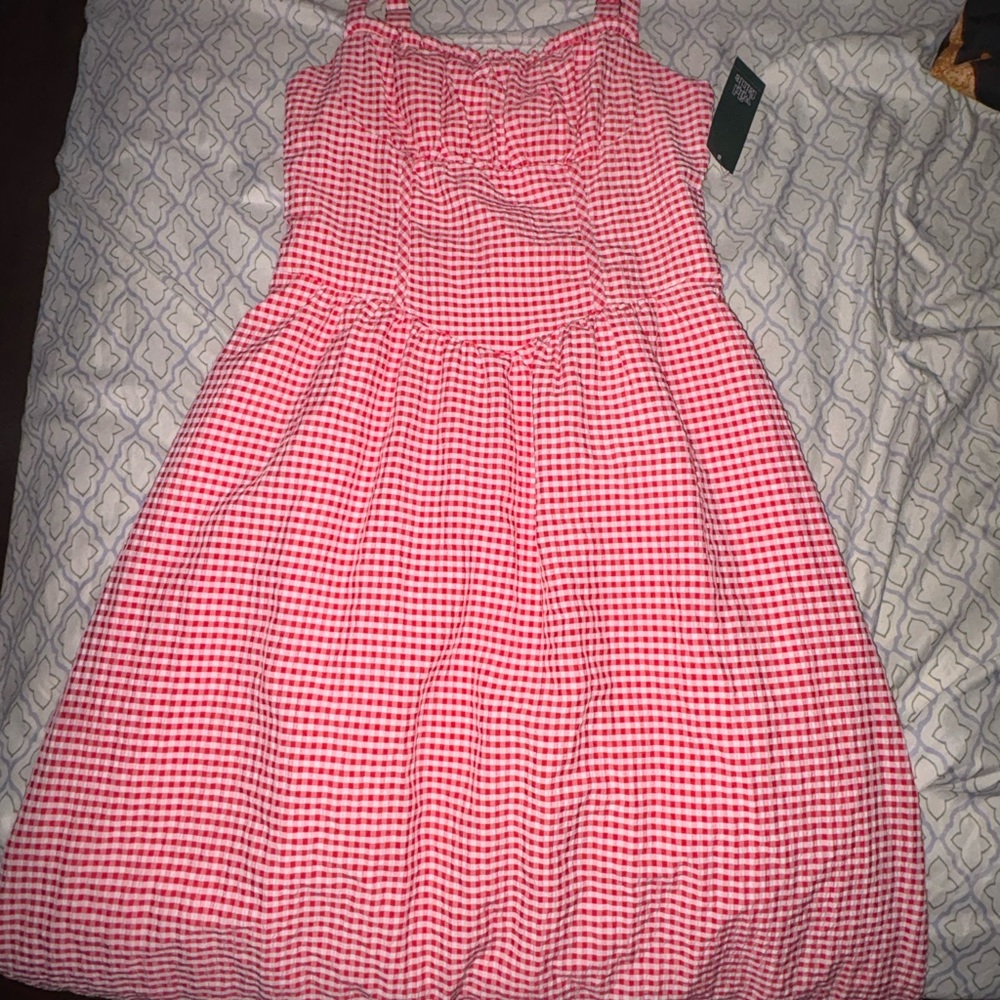 Wild Fable Red Gingham Kids Dress